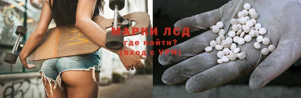 PSILOCYBIN Белокуриха