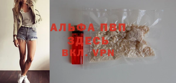 PSILOCYBIN Белокуриха