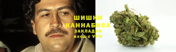 PSILOCYBIN Белокуриха