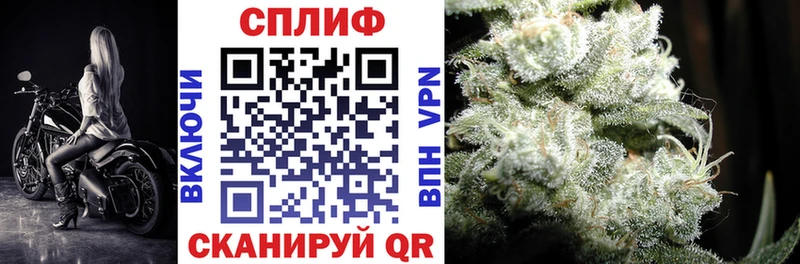 где купить наркоту  Дигора  darknet формула  Конопля сатива 